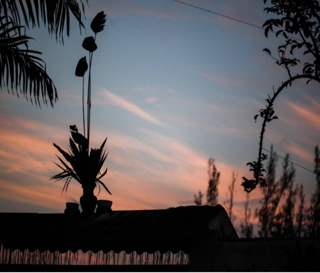 Imagem 3 - paisagem de um entardecer: céu em tons de azul e rosa. plantas nas extremidades do plano da fotografia. no centro um telhado com dois potes pequenos e um uma espécie de jarra com plantas dentro ao meio.